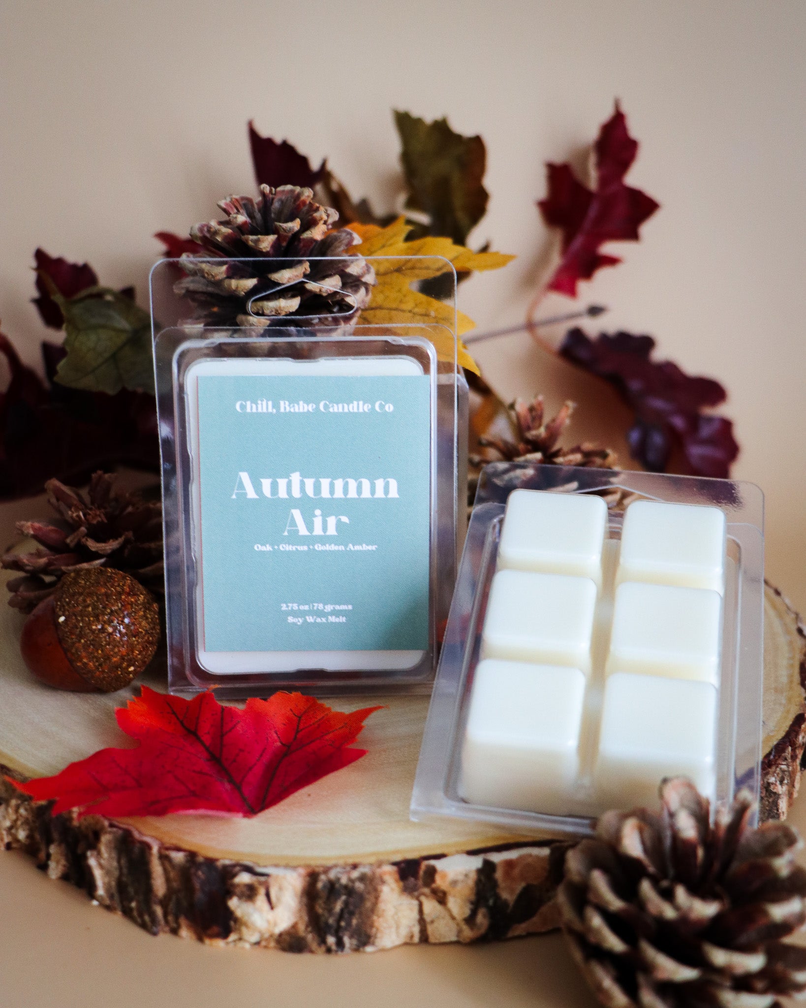 Autumn Air Wax Melt | Oak + Citrus + Golden Amber