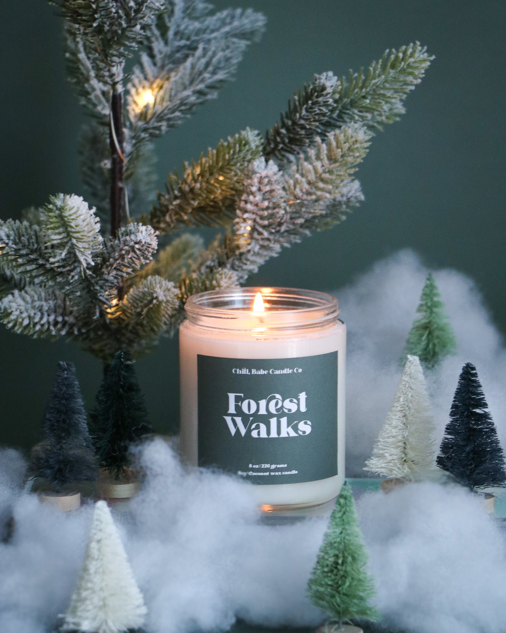 Forest Walks Candle |  Pine + Sandalwood + Vanilla