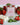 Flirt With Me Wax Melt | Strawberry + Basil + Vanilla