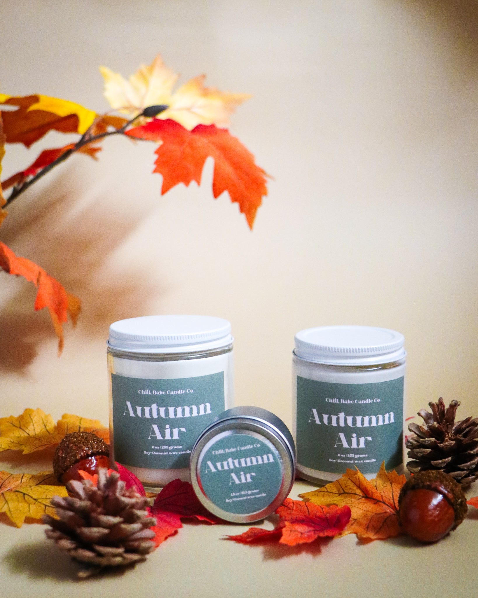 Autumn Air Candle | Oak + Citrus + Golden Amber